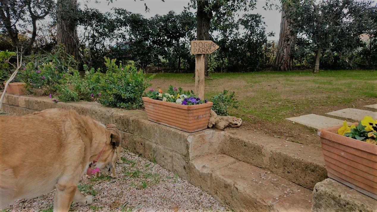 La Stanza Del Podere Isabella Hotel San Vincenzo Kültér fotó